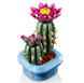 Конструктор LEGO Botanicals Цвітіння кактуса фото 5